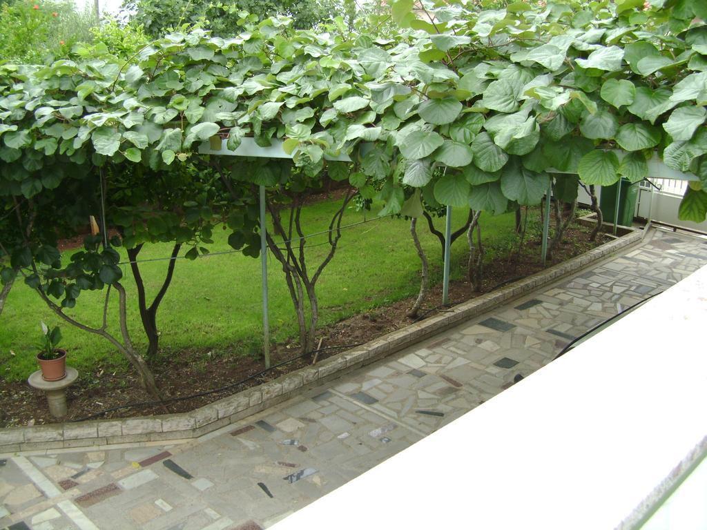 Apartmani Tome Zadar Ngoại thất bức ảnh
